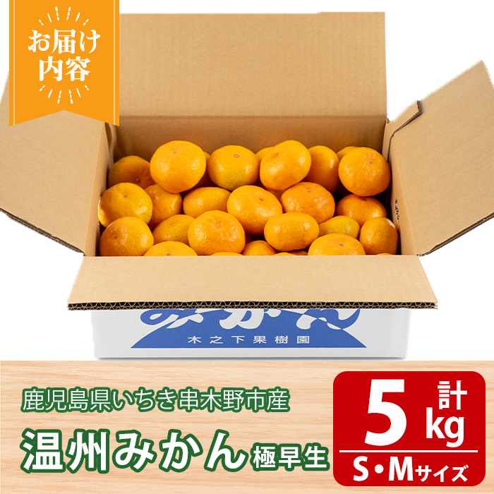 《期間限定・数量限定》木之下みかん園の温州みかん(極早生みかん)(約5kg) 国産 鹿児島県産 果物 柑橘 果物 フルーツ 温州みかん みかん ミカン 旬 冬季 常温 常温配送 箱 【木之下みかん園】【01-132-01】