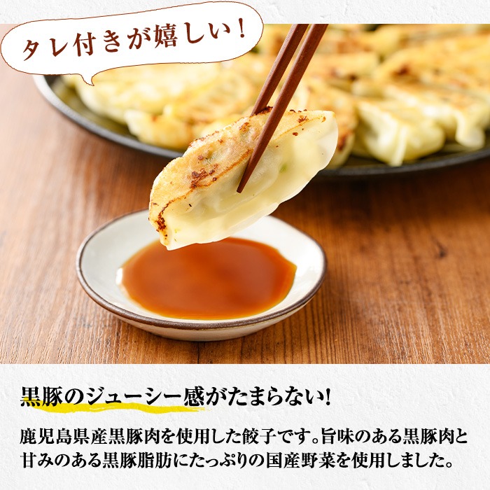 鹿児島黒豚の生餃子(生姜風味)(12個×12P・合計144個) たれ付き！おろし生姜  豚 国産 野菜 ぎょうざ ギョウザ 惣菜 冷凍 おかず 弁当 小分け【鹿児島協同食品】【00-008-03】