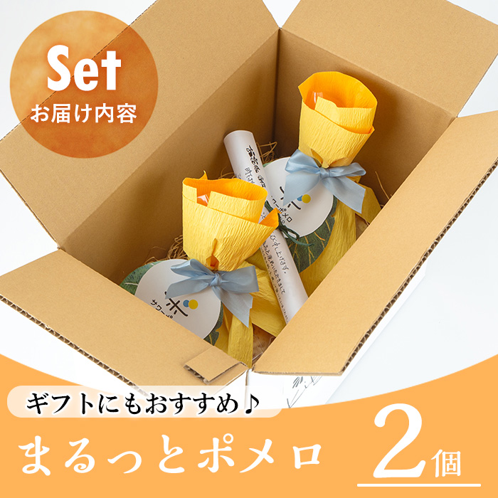 ＜2026年お中元ギフト＞鹿児島県産サワーポメロをふんだんに使用！まるっとポメロ(2個) スイーツ バウムクーヘン ケーキ お菓子 洋菓子 手作り 冷蔵 贈答用 ギフト【菓子処 菊屋】【00-014-07-R8OC】