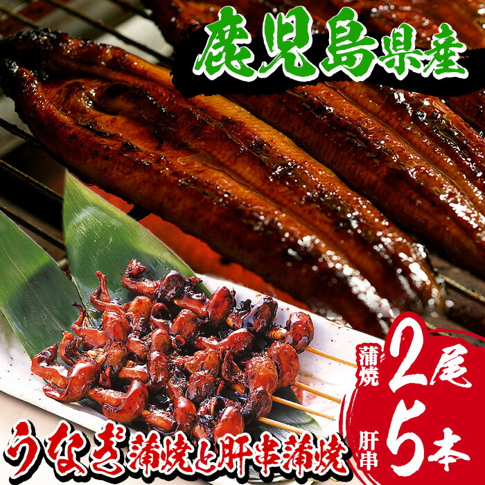 国産うなぎ(鹿児島県産うなぎ)蒲焼(大サイズ2尾・計約300g)と肝串蒲焼(5本×1P) タレ付き 国産 国産魚 九州産 鹿児島県産 魚 魚介 鰻 うなぎ ウナギ 蒲焼 蒲焼き 惣菜 冷凍 串 肝 内臓 贈答品 ギフト【南竹鰻加工】【00-025-07】