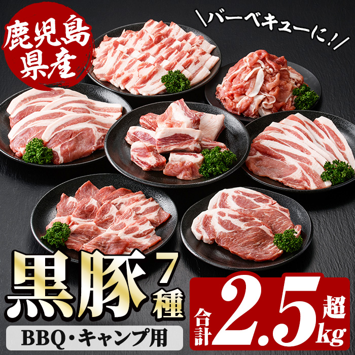 恵味の黒豚 BBQ・キャンプ用セット (鹿児島県産黒豚)(7種・合計2.5kg超) 豚 豚肉 肉 鹿児島 黒豚 肩ロース ロース ばら肉 バラ肉 スペアリブ 切り落とし 小間切れ バーベキュー 焼肉 キャンプ 詰合せ 詰め合わせ 小分け 冷凍【西日本ベストパッカー】【00-110-04】