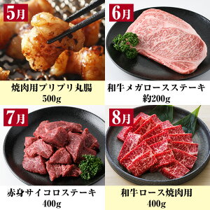 ＜定期便・全12回＞黒毛和牛づくし12ヶ月定期便！サーロインステーキやロース、切り落とし、ブロック、ハンバーグやもつ鍋など！牛肉を1年間定期便でお届け！【バクロ】【00-030-13-TK】