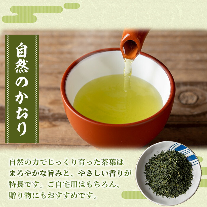 鹿児島県産緑茶 自然のかおり 竹(100g×5袋) 鹿児島 鹿児島県産 お茶 茶 緑茶 茶葉 ギフト プレゼント 贈り物 常温 【米丸製茶】【00-035-05】