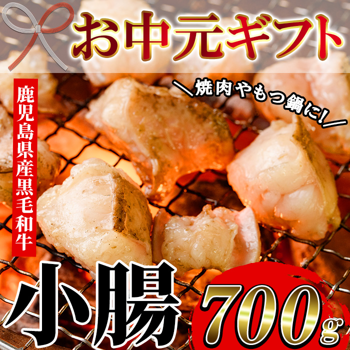 ＜2026年お中元ギフト＞鹿児島県産黒毛和牛 小腸(計700g) 鹿児島県産 ホルモン もつ鍋 焼肉 鍋 焼肉用 焼き肉 バーベキュー 冷凍 牛肉 肉 もつ モツ 内臓 国産牛 モツ鍋 もつなべ 九州 国産 贈答品 ギフト【バクロ】【00-030-08-R8OC】