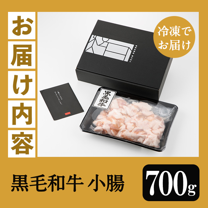 ＜2026年お中元ギフト＞鹿児島県産黒毛和牛 小腸(計700g) 鹿児島県産 ホルモン もつ鍋 焼肉 鍋 焼肉用 焼き肉 バーベキュー 冷凍 牛肉 肉 もつ モツ 内臓 国産牛 モツ鍋 もつなべ 九州 国産 贈答品 ギフト【バクロ】【00-030-08-R8OC】