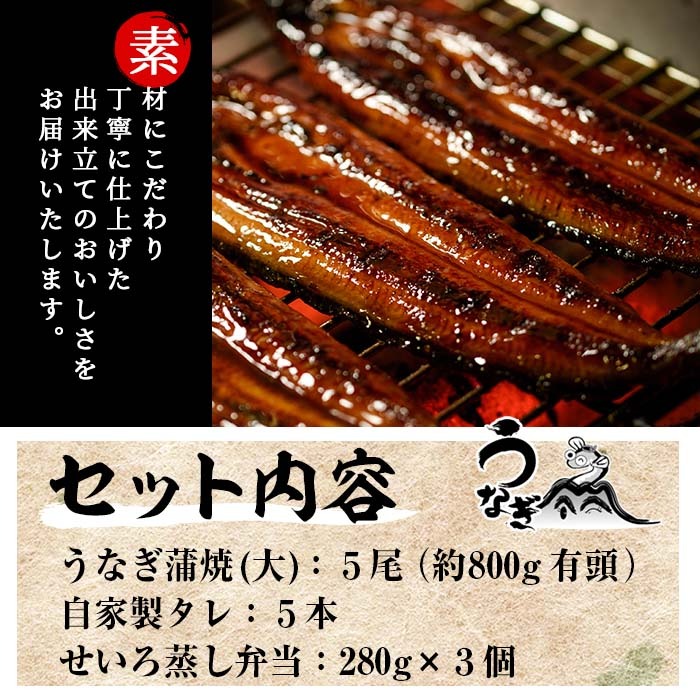 国産うなぎ(鹿児島県産うなぎ)蒲焼(5尾・約800g)と鰻せいろ蒸し弁当(280g×3個) 国産 国産魚 九州産 鹿児島県産 魚 魚介 鰻 うなぎ ウナギ 蒲焼 蒲焼き 惣菜 冷凍 弁当【南竹鰻加工】【00-025-14】