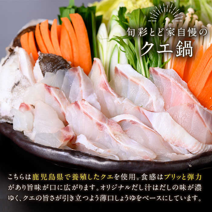 ＜先行予約受付中！＞クエ鍋セット(2~3人前) 鹿児島県産 養殖 クエ 魚 海鮮 海鮮鍋 海鮮 鍋 お鍋 クエ鍋 高級魚 クエ身 あら身 グルメ だし汁 スープ ギフト 贈り物 先行予約 【旬彩とど家】【00-114-01】