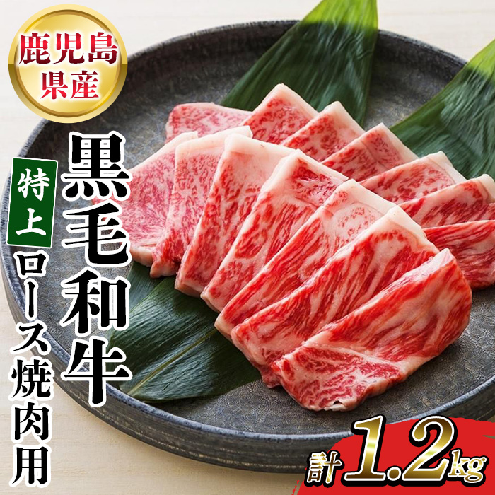 ＜2026年お中元ギフト＞鹿児島県産黒毛和牛 特上ロース焼肉 (計1.2kg) 牛肉 肉 黒毛和牛 国産 国産牛 九州 鹿児島 鹿児島県産 ロース ロース肉 焼肉 焼き肉 冷凍 ギフト【バクロ】【00-030-33-R8OC】
