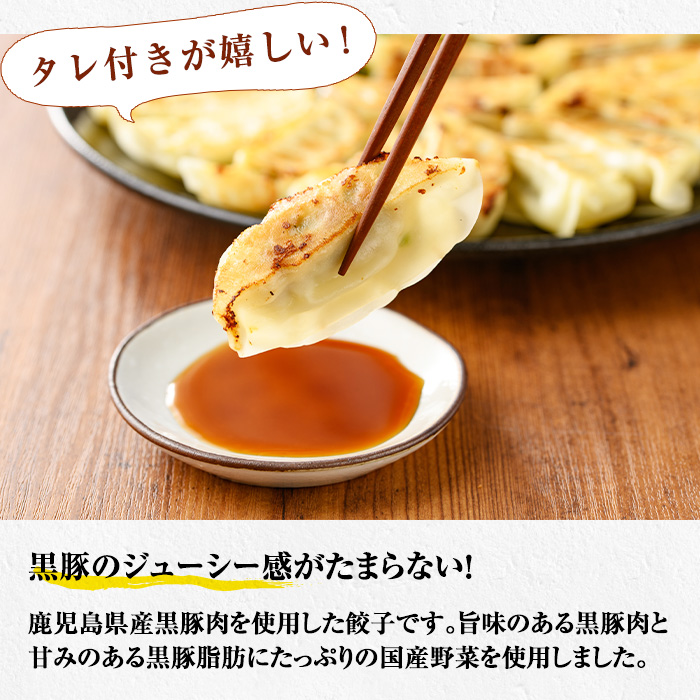 鹿児島県産茶美豚使用！抹茶入り生餃子(計168個・12個×14P) 国産 九州産 鹿児島産 国産豚 餃子 ぎょうざ ギョウザ 惣菜 野菜 抹茶 冷凍 おかず 弁当 小分け【鹿児島協同食品】【00-008-07】
