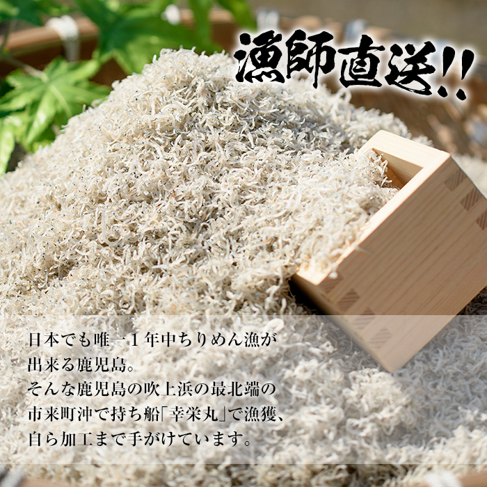 鹿児島県産「網元の天日干しちりめん(計400g・50g×8袋)」 直送 新鮮 鮮度 国産 しらす シラス じゃこ直送 魚 魚介類 さかな 小魚 カルシウム【大久保水産】【00-007-01】