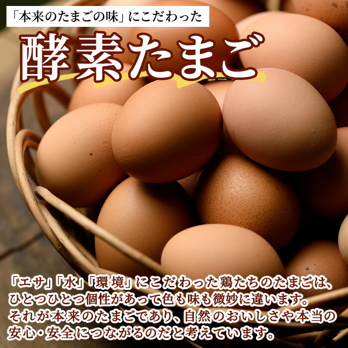 薩摩ヤブサメ酵素卵(60個) 国産 鹿児島県産 たまご 卵 玉子 タマゴ 鶏卵 オムレツ 卵かけご飯 朝食 料理 人気 たまご焼き【ヤブサメファーム】【00-038-02】
