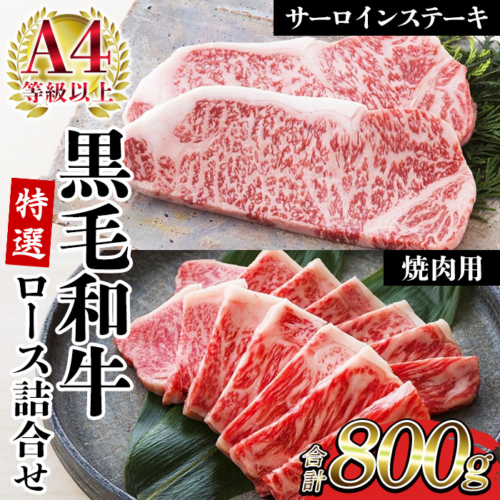 ＜2026年お中元ギフト＞鹿児島県産黒毛和牛 ＜A4等級以上＞サーロインステーキ・特選ロース焼肉用 (2種・合計800g) 牛肉 肉 黒毛和牛 国産 国産牛 九州 鹿児島 鹿児島県産 サーロイン ステーキ ロース ロース肉 焼肉 焼き肉 A4等級以上 冷凍 ギフト【バクロ】【00-030-35-R8OC】