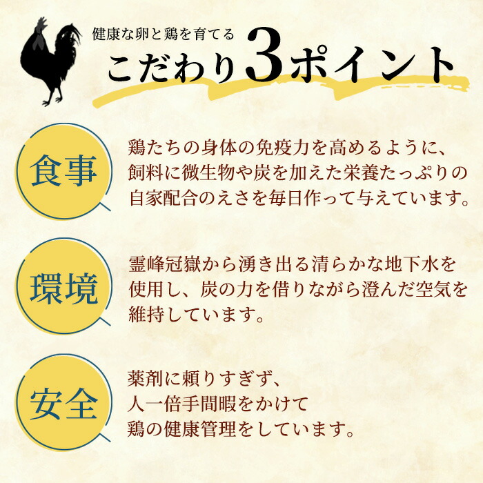 薩摩ヤブサメ酵素卵(60個) 国産 鹿児島県産 たまご 卵 玉子 タマゴ 鶏卵 オムレツ 卵かけご飯 朝食 料理 人気 たまご焼き【ヤブサメファーム】【00-038-02】