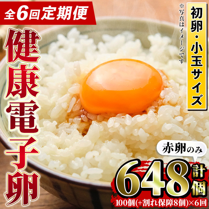 ≪定期便・全6回≫鹿児島県産！健康電子卵・初卵(赤卵のみ)(計648個・54個×2枚×6回) 国産 九州産 たまご タマゴ 玉子 生たまご 若鶏 若鳥 新鮮 鶏卵 赤卵 常温 定期 連続 小玉 パック 朝ごはん おかず 卵焼き 割れ保障 安心 安全【峯元養鶏】【00-095-09-TK】