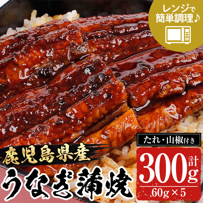 《レンジ対応》鹿児島県産うなぎ蒲焼(300g・60g×5/タレ・山椒付き) 国産 国産魚 九州産 鹿児島県産 魚 魚介 鰻 うなぎ ウナギ unagi 蒲焼 蒲焼き たれ たれ付 さんしょう 簡単調理【エーエフ企画】【00-057-48】