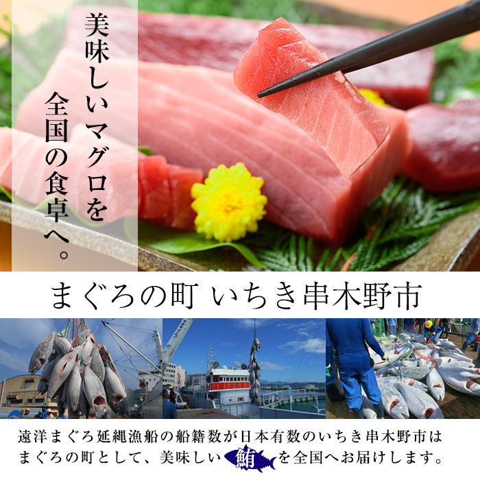 最高級の天然南まぐろ 中トロ・赤身セット(合計約400g) マグロ 鮪 まぐろ 魚介 海鮮 海鮮丼 南マグロ 【海鮮まぐろ家】【00-041-03】