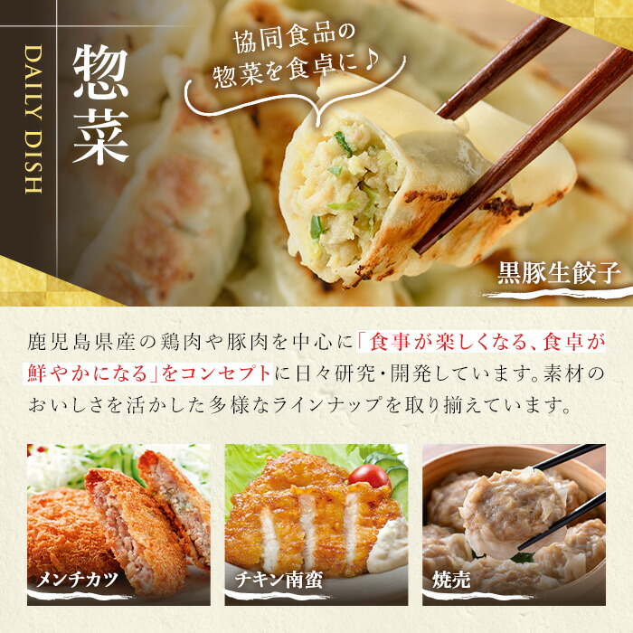 鹿児島黒豚の生餃子(生姜風味)(12個×12P・合計144個) たれ付き！おろし生姜  豚 国産 野菜 ぎょうざ ギョウザ 惣菜 冷凍 おかず 弁当 小分け【鹿児島協同食品】【00-008-03】