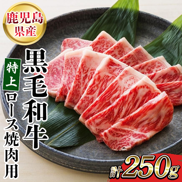 ＜2026年お中元ギフト＞鹿児島県産黒毛和牛 特上ロース焼肉 (計250g) 牛肉 肉 黒毛和牛 国産 国産牛 九州 鹿児島 鹿児島県産 ロース ロース肉 焼肉 焼き肉 冷凍 ギフト【バクロ】【00-030-30-R8OC】