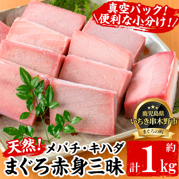 天然まぐろメバチ・キハダ赤身三昧(計1kg) 小分けの柵でお届け！肉厚のお刺身や海鮮丼に！まぐろ 鮪 魚介 刺し身 刺身 さしみ 海鮮丼 メバチまぐろ キハダまぐろ 小分け 便利 冷凍 新鮮【海鮮まぐろ家】【00-041-13】