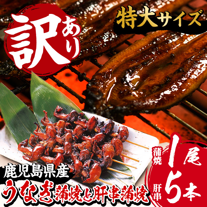 ＜訳あり・規格外＞国産うなぎ(鹿児島県産うなぎ)蒲焼(特大サイズ1尾・約190g超)と肝串蒲焼(5本×1P) タレ付き 国産 国産魚 九州産 鹿児島県産 魚 魚介 鰻 うなぎ ウナギ 蒲焼 蒲焼き 惣菜 冷凍 串 肝 内臓 真空包装 簡易包装 贈答品 ギフト【南竹鰻加工】【00-025-20-90】