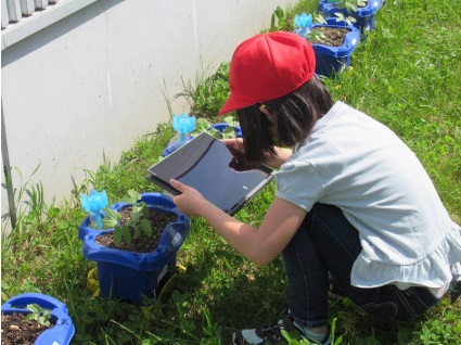 小中学校の豊かな学びを実現するための教育環境の充実に活用