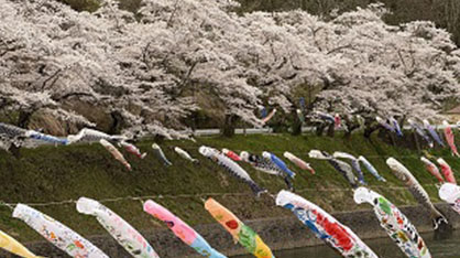 市民が取り組む魅力あふれる事業