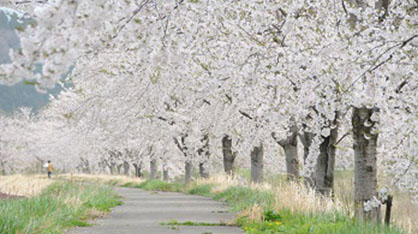 住みよい環境をつくる事業