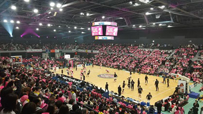 芸術・文化・スポーツに親しめる事業