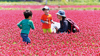 「ひとづくり」に関する事業（子育て・教育・教育・生涯学習など）