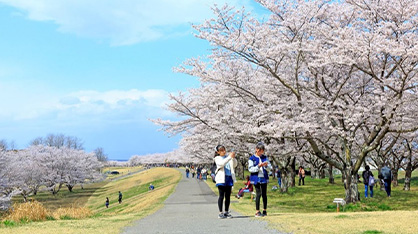 桜のまちづくり