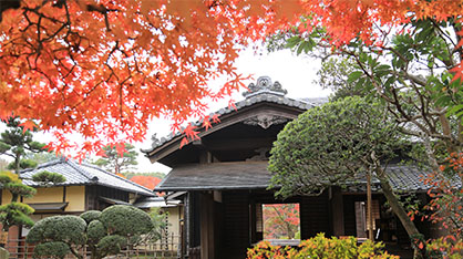 歴史と文化のまち佐倉を応援したい！（文化財・日本遺産・芸術）