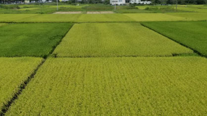 農水産業を「守り」「はぐくみ」「次世代につなぐ」ために