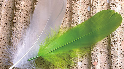 市長におまかせ