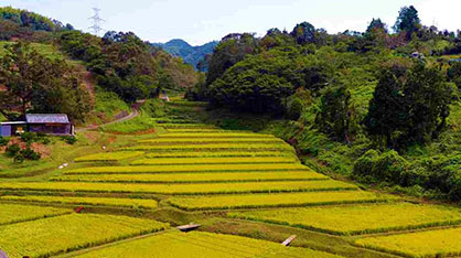 快適で環境と調和するまちづくり支援