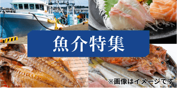 魚介特集
