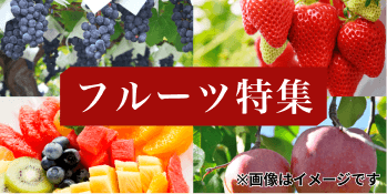フルーツ特集