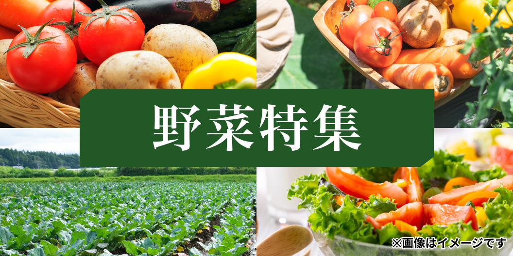 野菜特集
