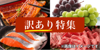 訳あり特集