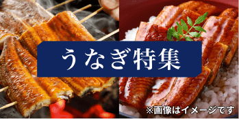 うなぎ特集