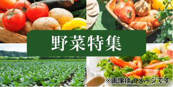 野菜特集